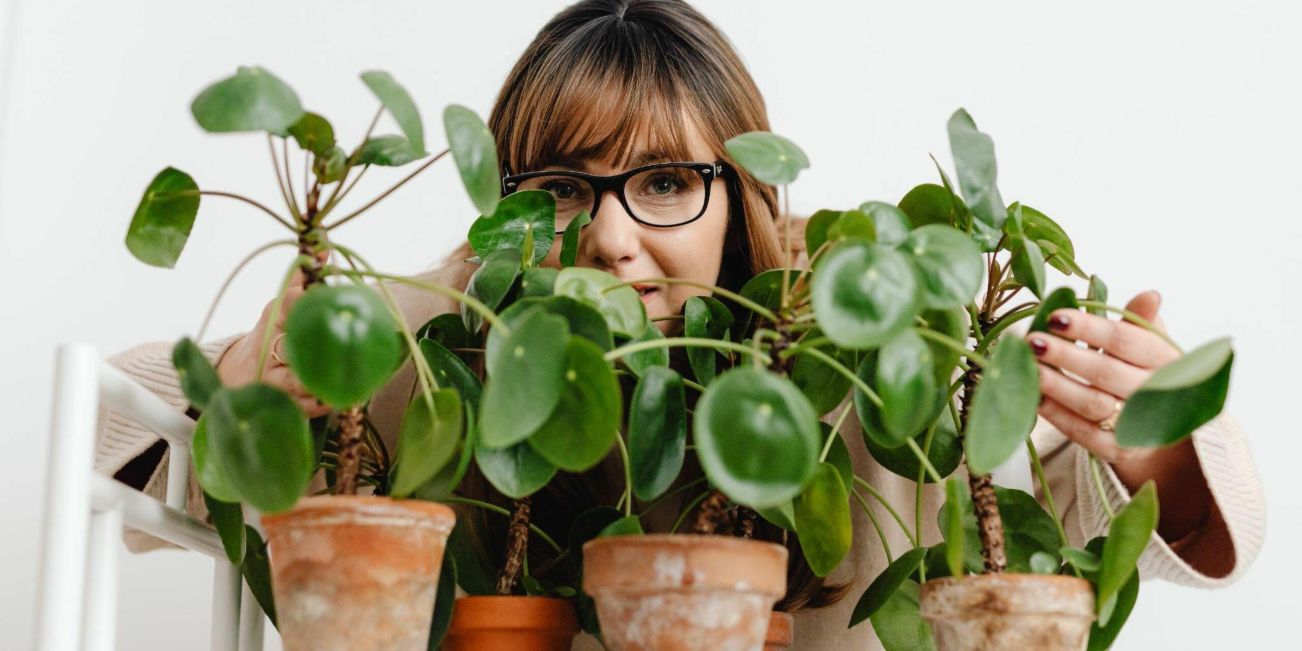 5 Gardening Influencers To Follow In March