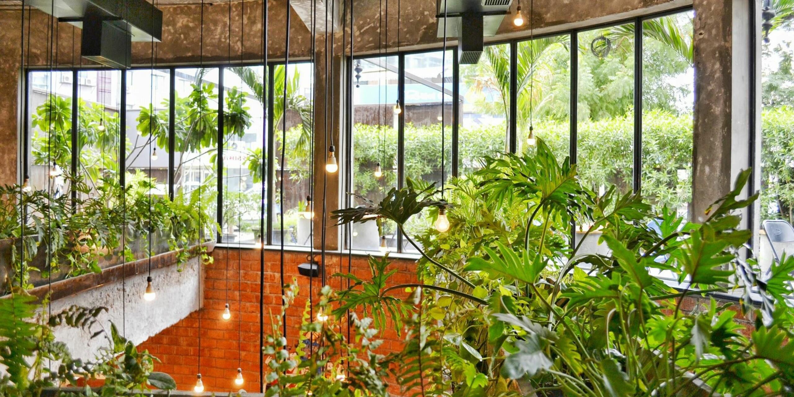 Learn how to grow a mini jungle garden filled with organic fruits and vegetables through a vlogger’s inspiring home gardening journey.