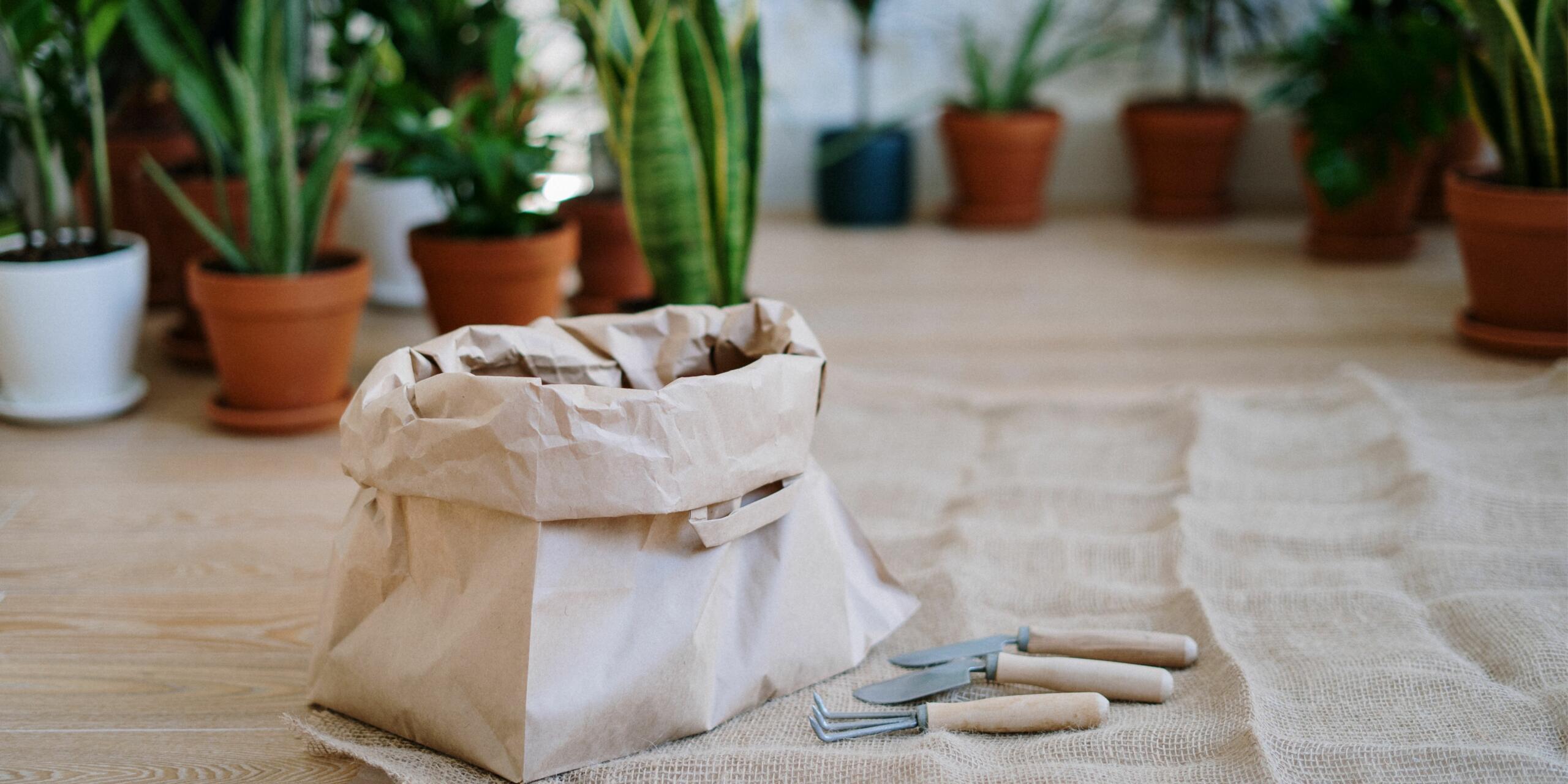 How Payal's YouTube Channel Inspires You To Start Gardening At Home