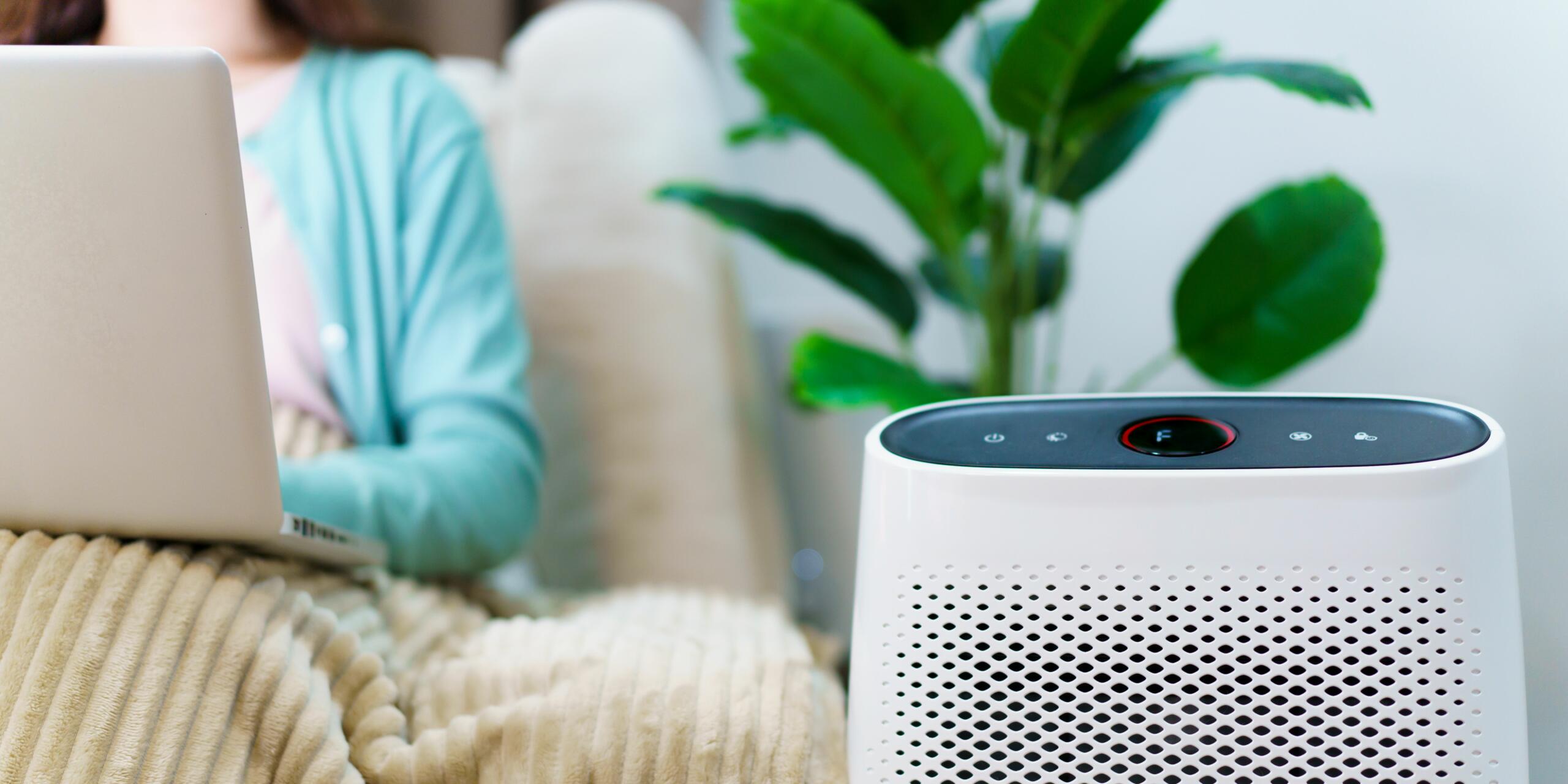 Algae Air Purifier: How algae helps in air purification?