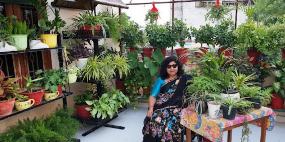 Blog Monika Monika Sharma, The Famous Gardening Vlogger From Jaipur – The ...