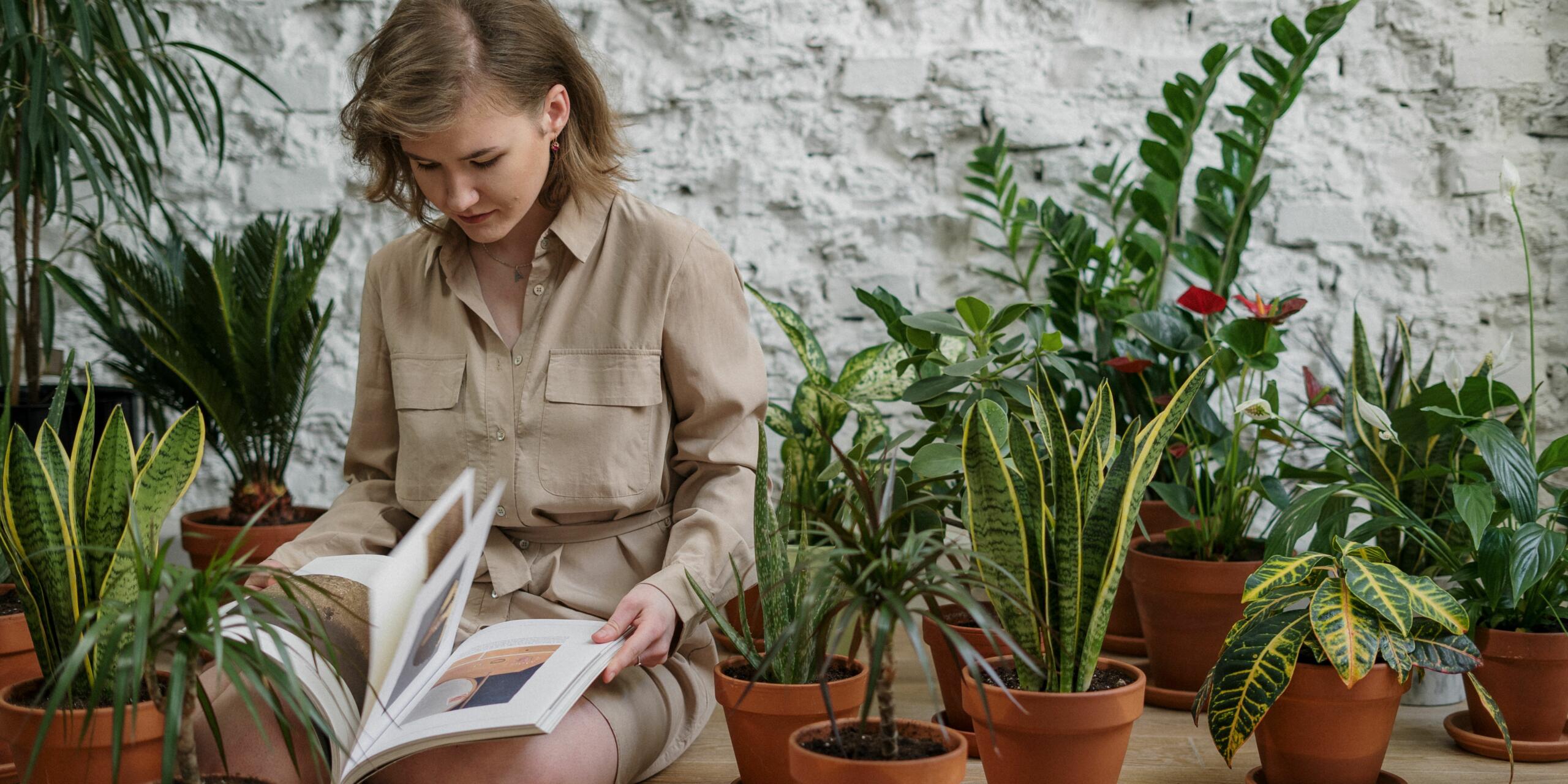 The Green Oasis: Embrace Nature with Affordable Indoor Plants