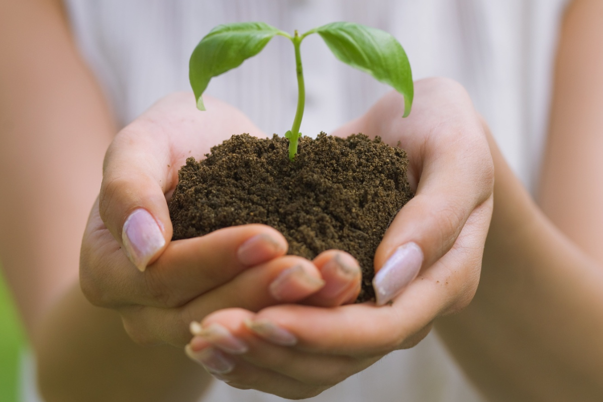 5 Gardening Influencers To Follow In October