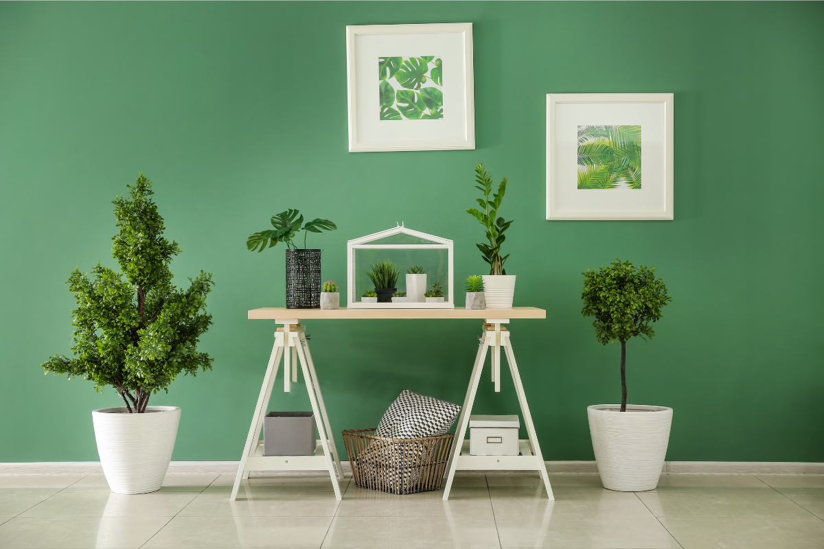 Top 5 Aromatic Plants to Brighten Your Indoors This October