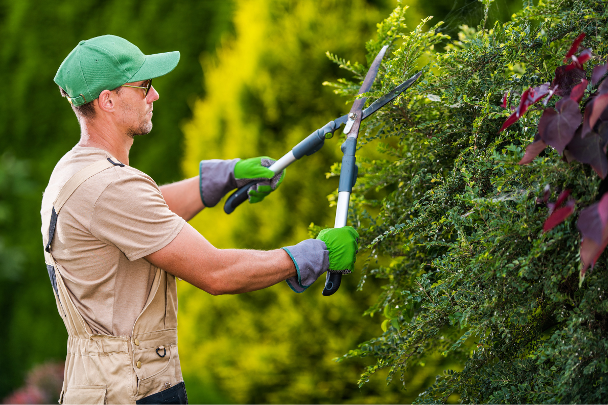 5 Gardening Influencers To Follow In April