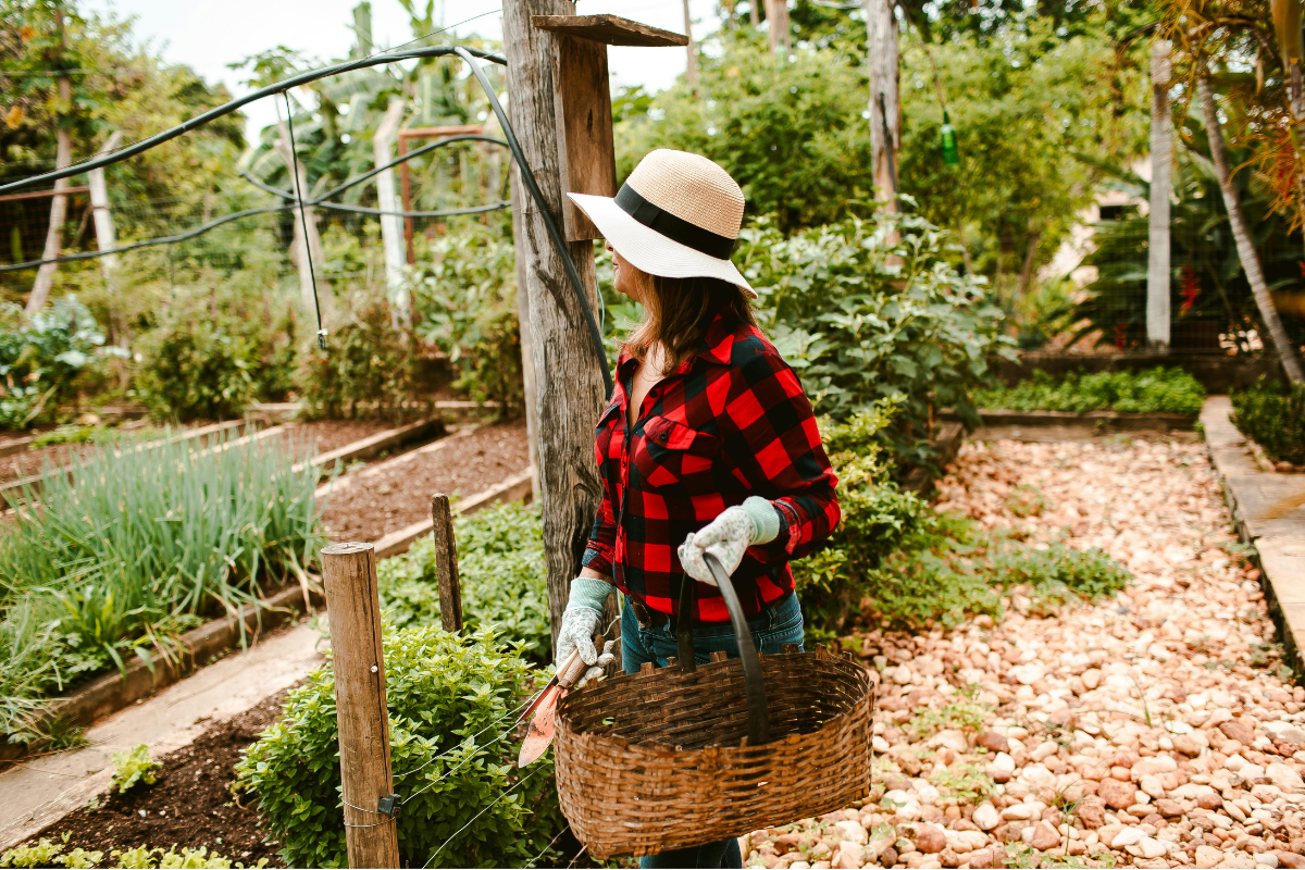 5 Gardening Influencers To Follow In December
