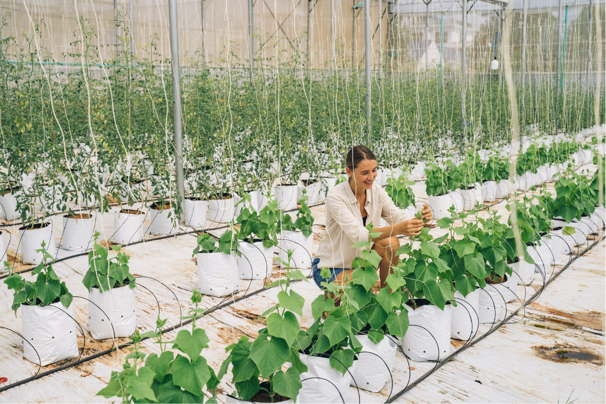 5 Gardening Influencers To Follow In October