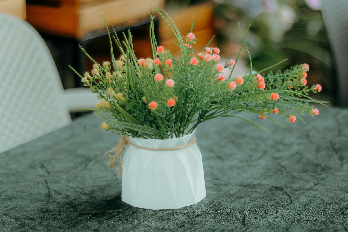 5 Best Table Top Plants To Buy In The Monsoon