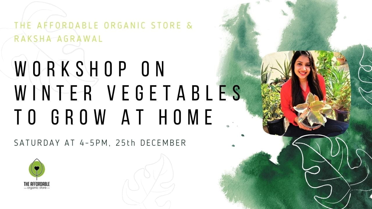 Workshop on Winter Vegetables to Grow at Home