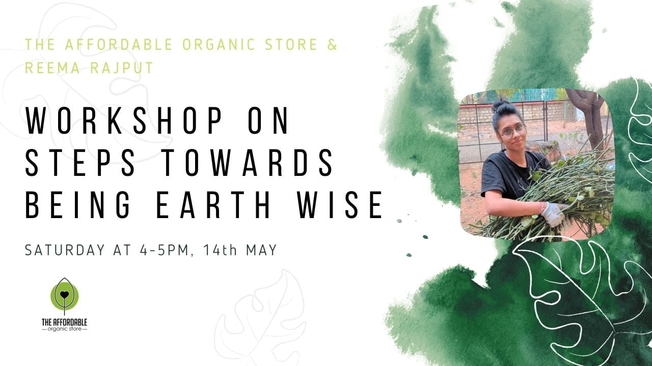 Workshop on Steps towards being Earth wise