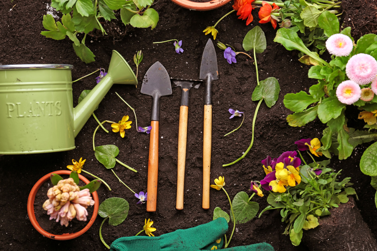 Start the New Year Green: Why Home Gardening Is the Perfect Habit