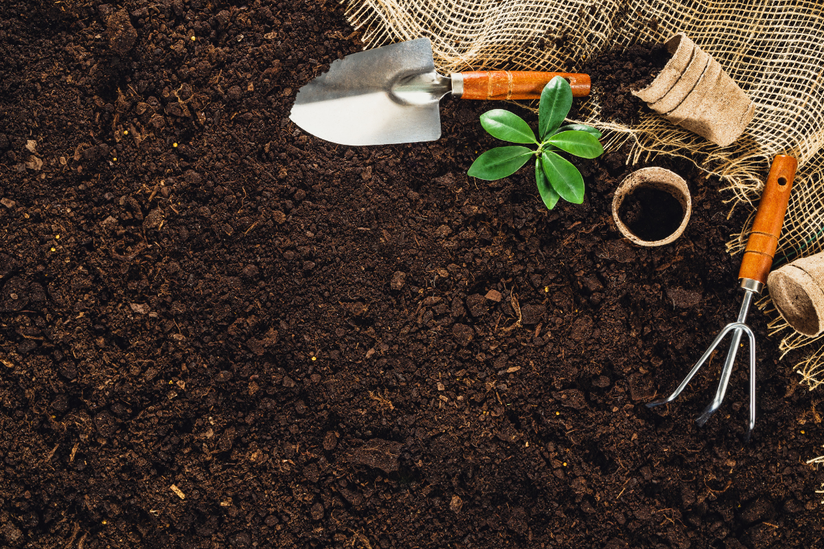 Gardening Essentials: Must-Have Items for Every Home Garden