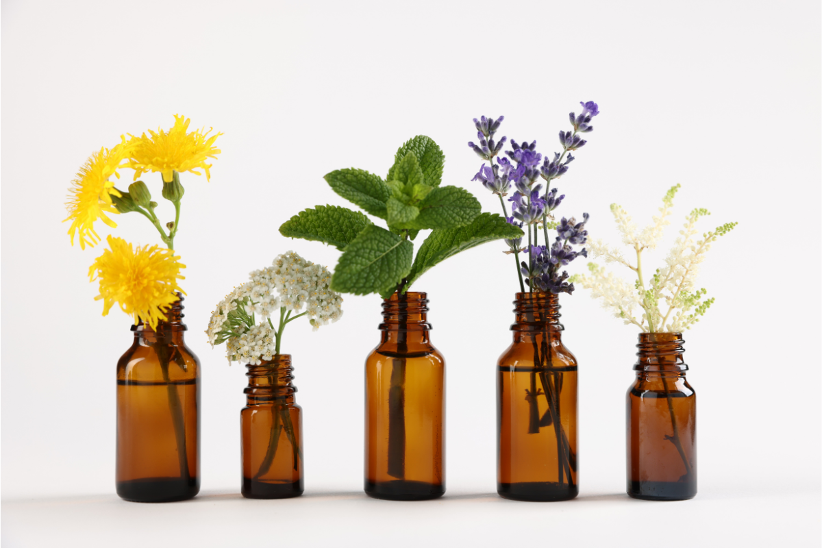 Top 10 Aromatic Flowering Plants for Your Garden