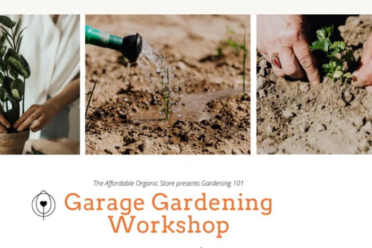  Garage Gardening Workshop (Gardening 101)