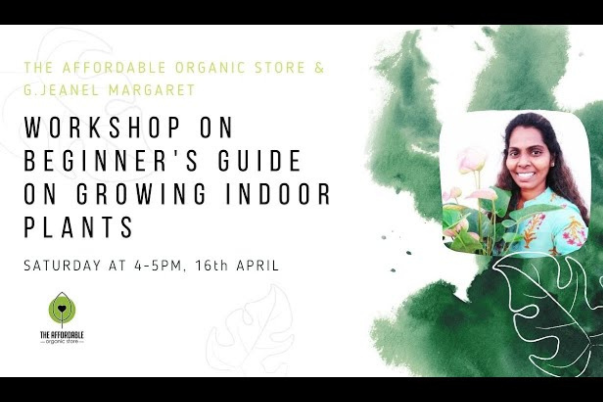 Workshop on Beginner's Guide on Growing Indoor Plants