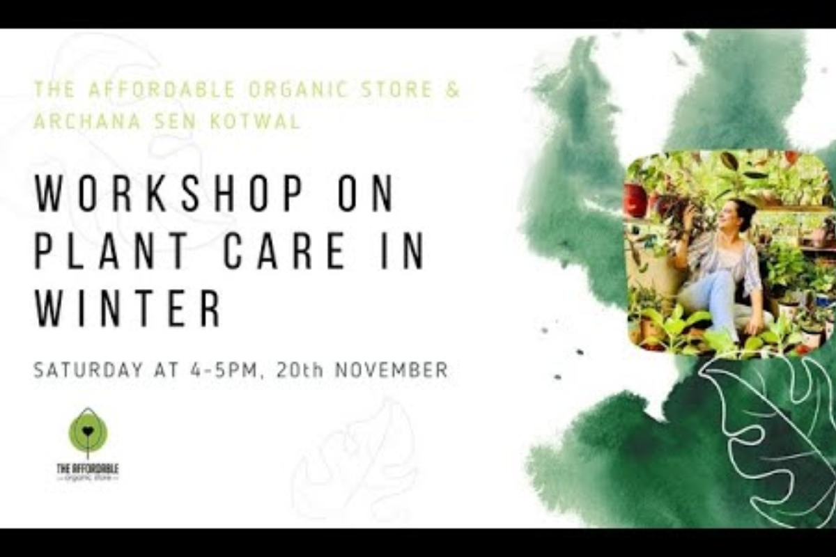 Workshop on Plant Care in Winter