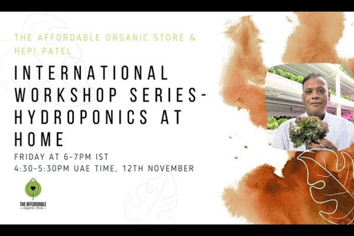 International Workshop Series- Hydroponics at Home