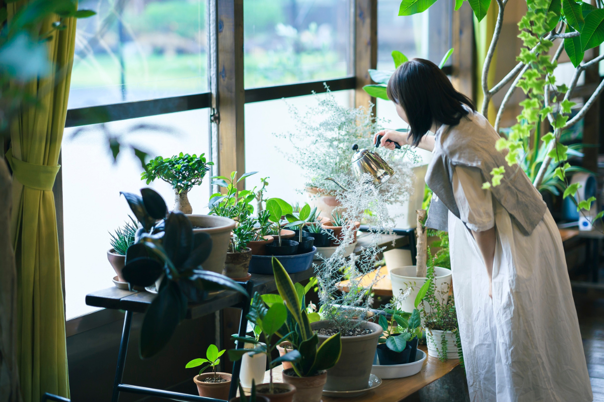 5 Gardening Influencers To Follow In February