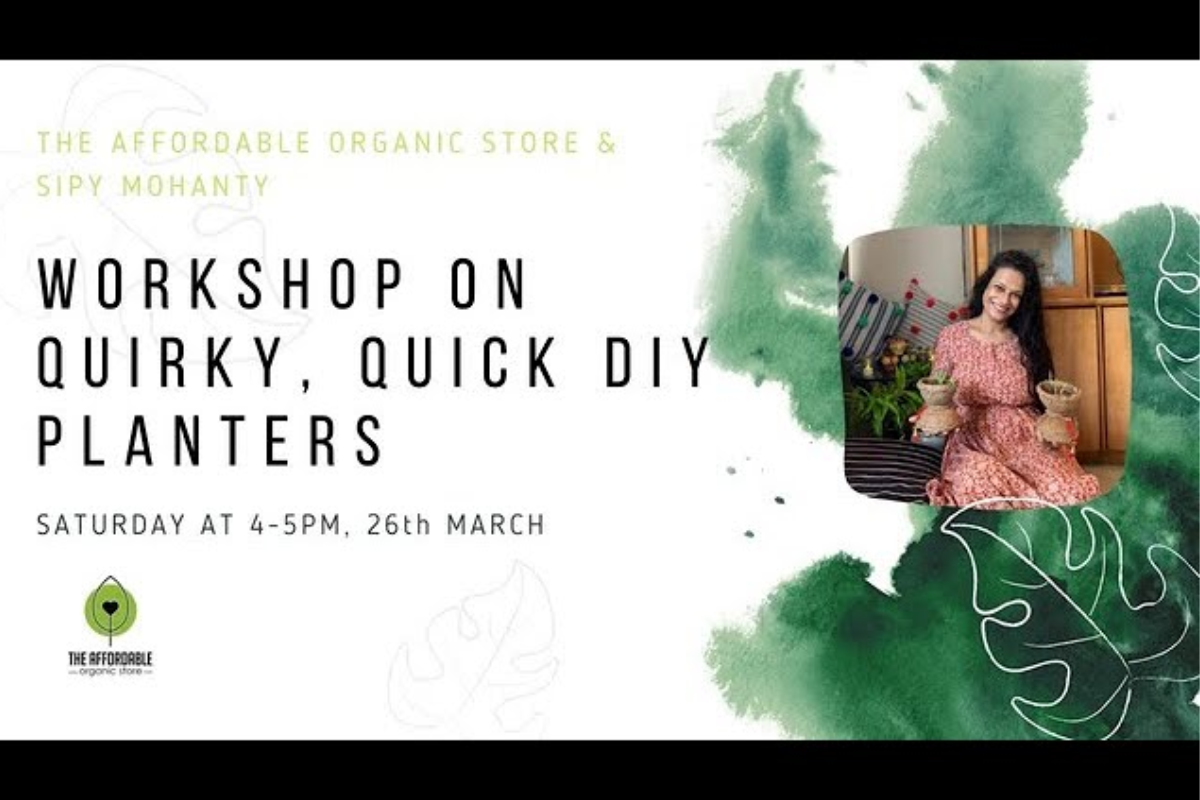 Workshop on Quirky, Quick DIY Planters