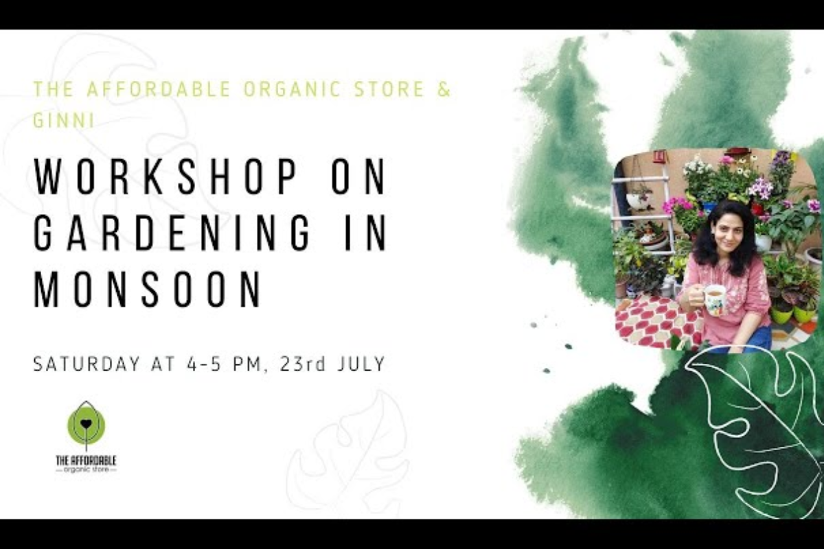 Workshop on Gardening in Monsoon