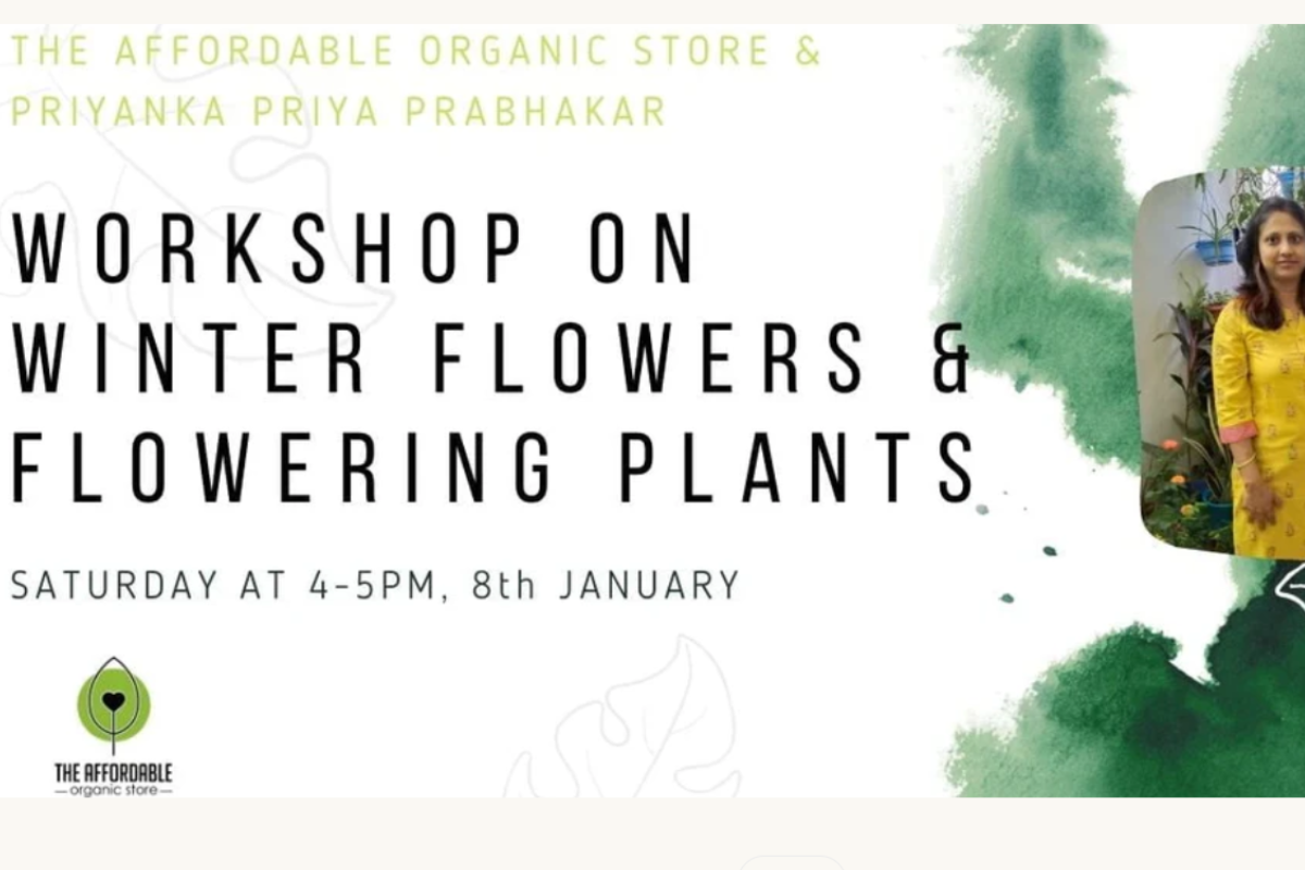 Workshop on Winter Flowers & Flowering Plants