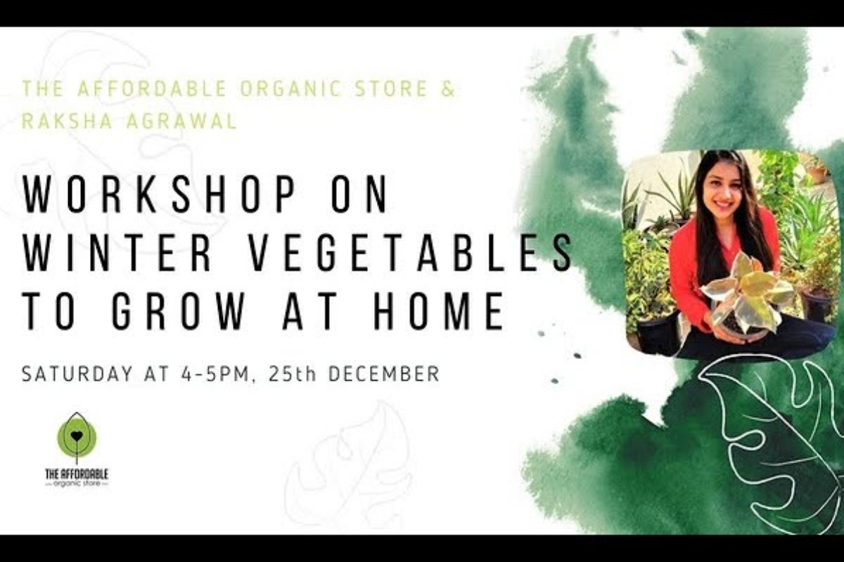 Workshop on Winter Vegetables to Grow at Home