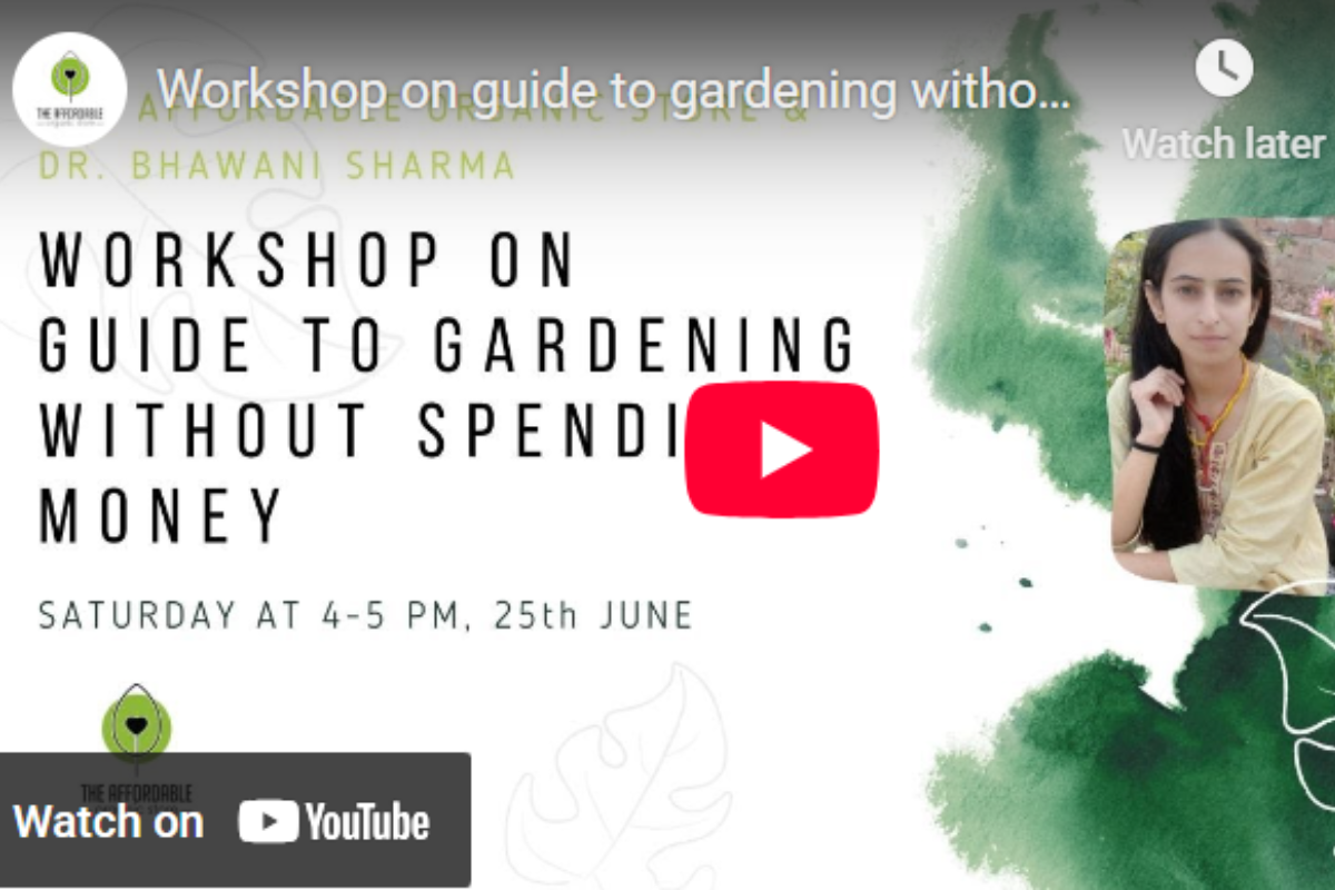 Workshop on  Guide to Gardening without spending Money