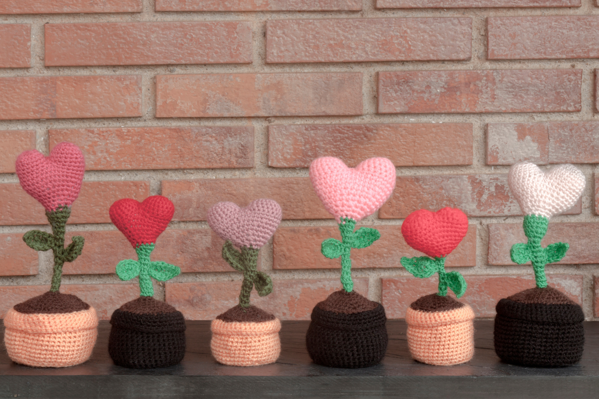 Plants to Grow This Valentine’s Day: Meaningful Green Gifts That Last