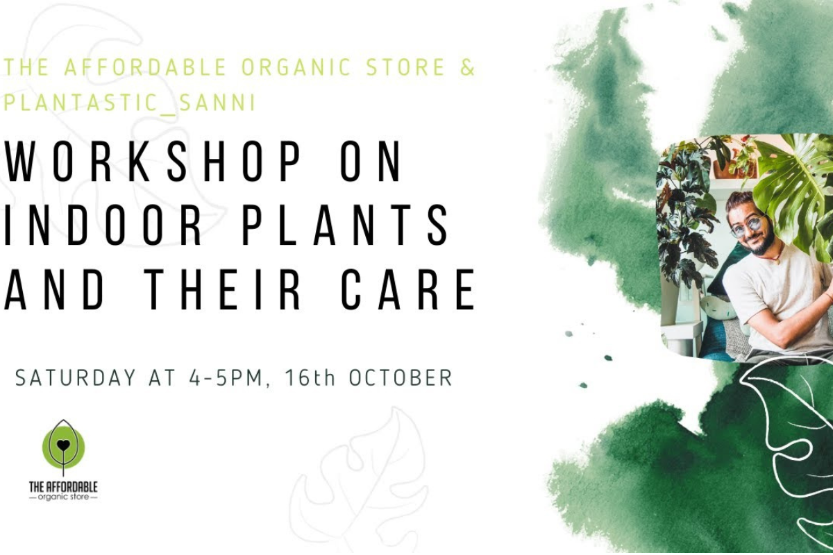 Workshop On Growing Indoor Plants