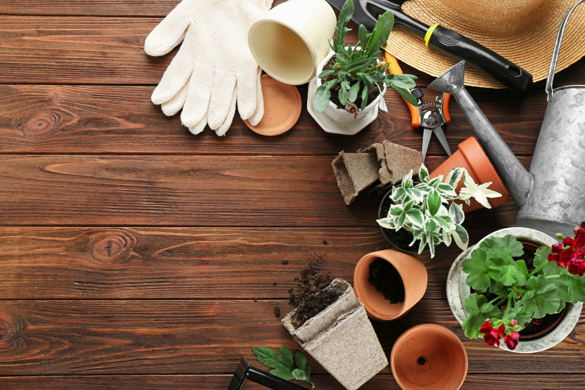 10 Must Have Gardening Essentials
