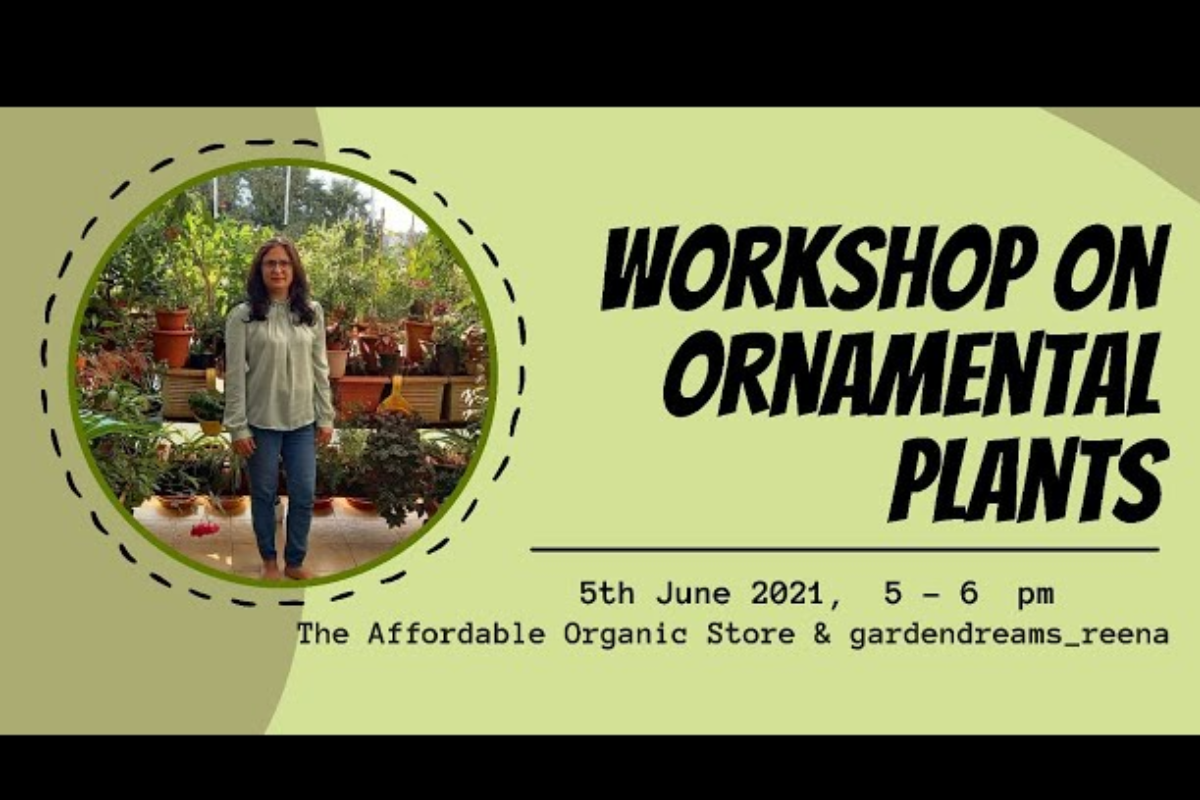 Workshop on Ornamental Plants