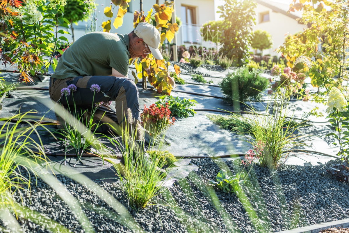 The Ultimate Guide To Starting Your Own Organic Garden