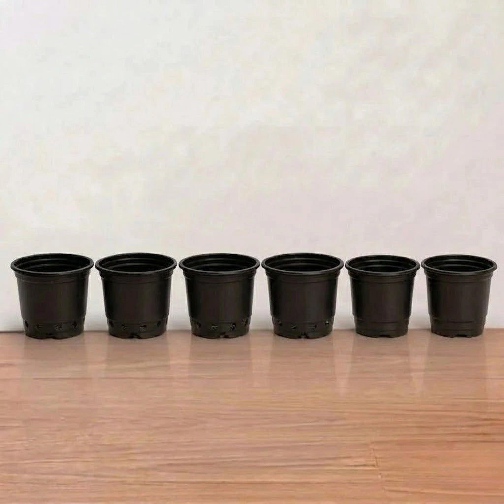 Gardening Pot 2-inch (1pc)