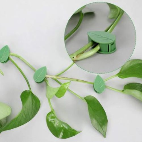 Plant Climbing Clips (1pc)