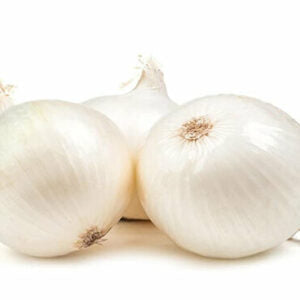 Three white onions kept against a white background