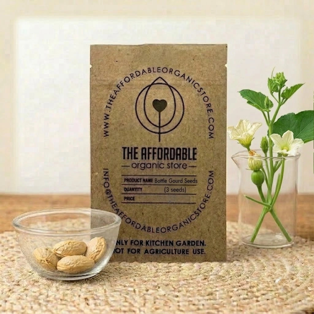 Bottle Gourd Seeds (3 seeds)