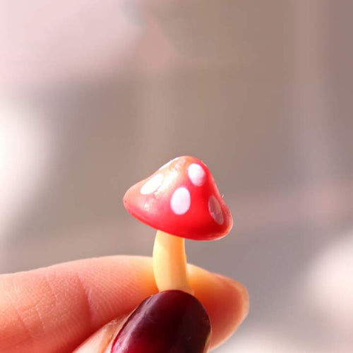 Miniature Garden Mushroom holding by hand