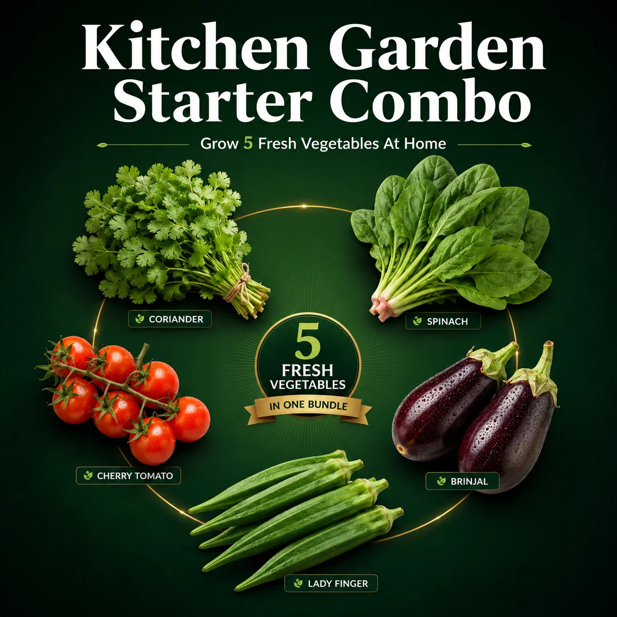 Home Kitchen Garden Combo