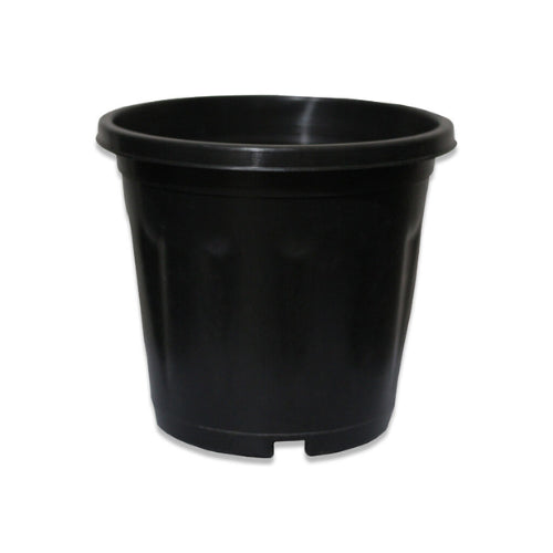 Gardening Pot 3-inch (1pc)