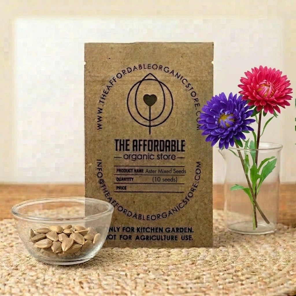 Aster Mixed Seeds (10 Seeds)