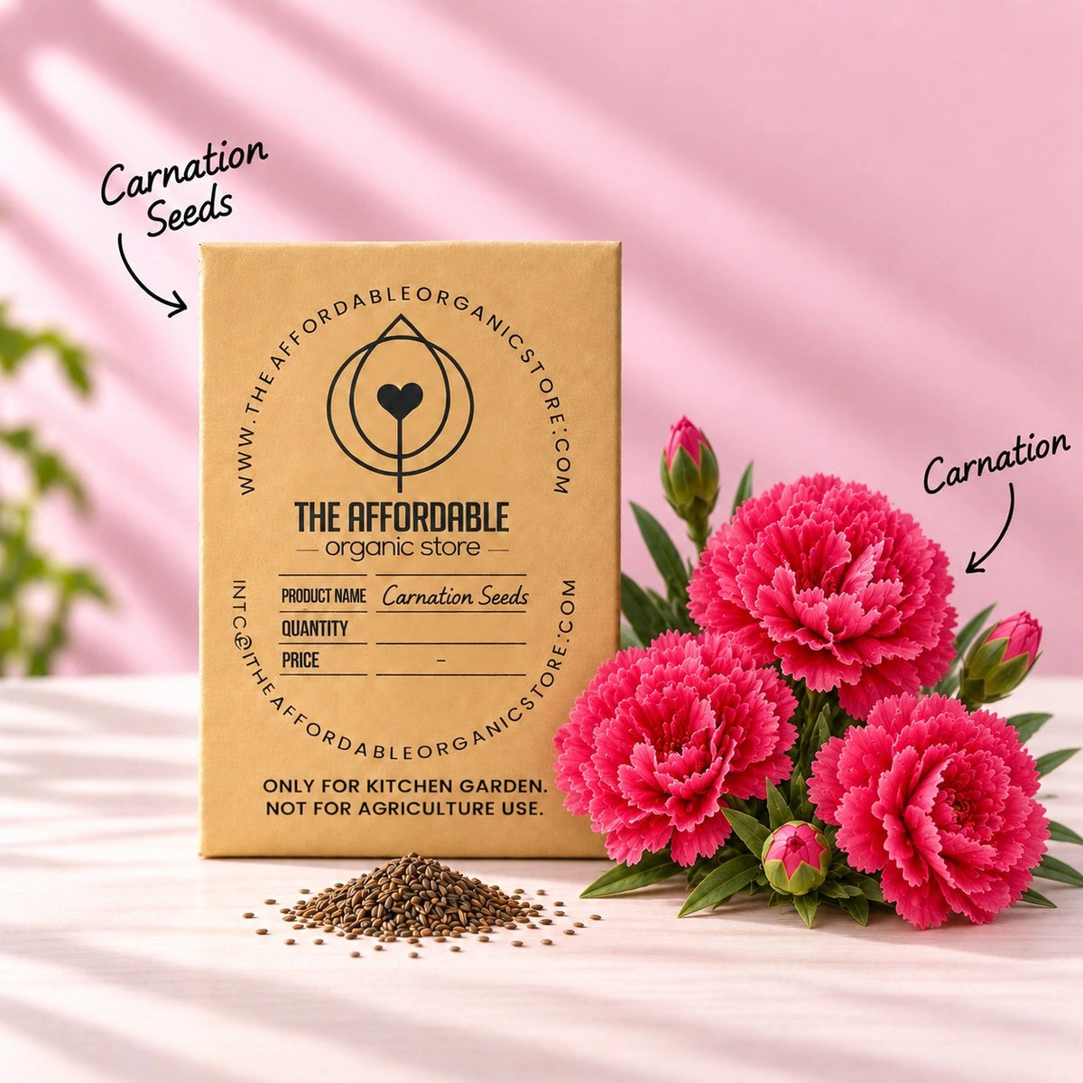 Carnation Seeds (20 seeds)