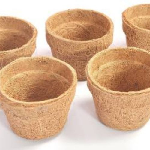 4 Inch Coir Pot (1pc)