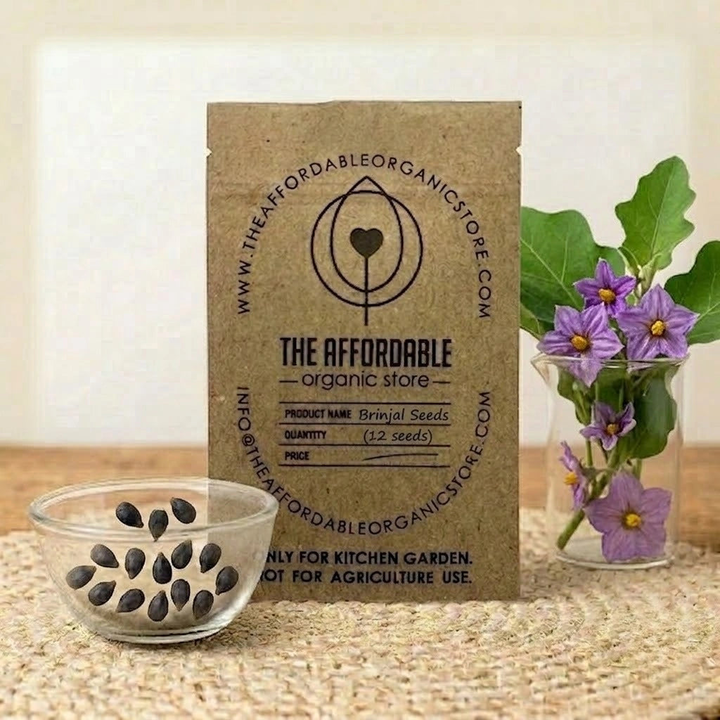 Brinjal Seeds (12 seeds)