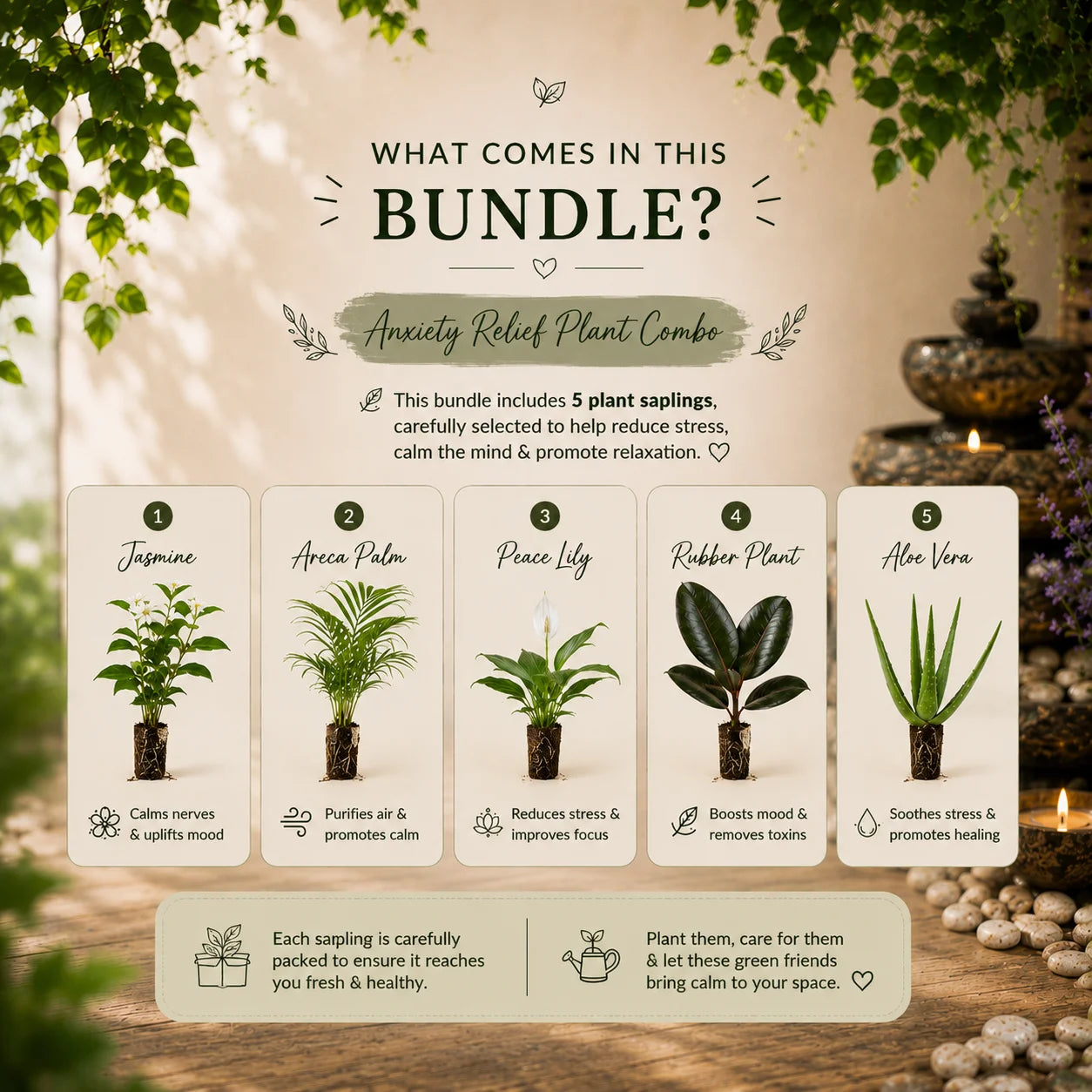 The Anxiety Relief Plant Combo