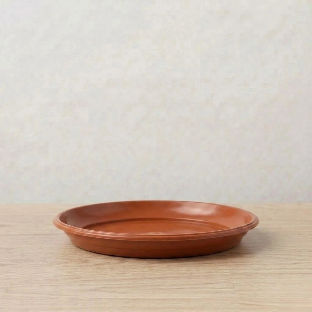 Medium Size Pot Saucer (1pc)