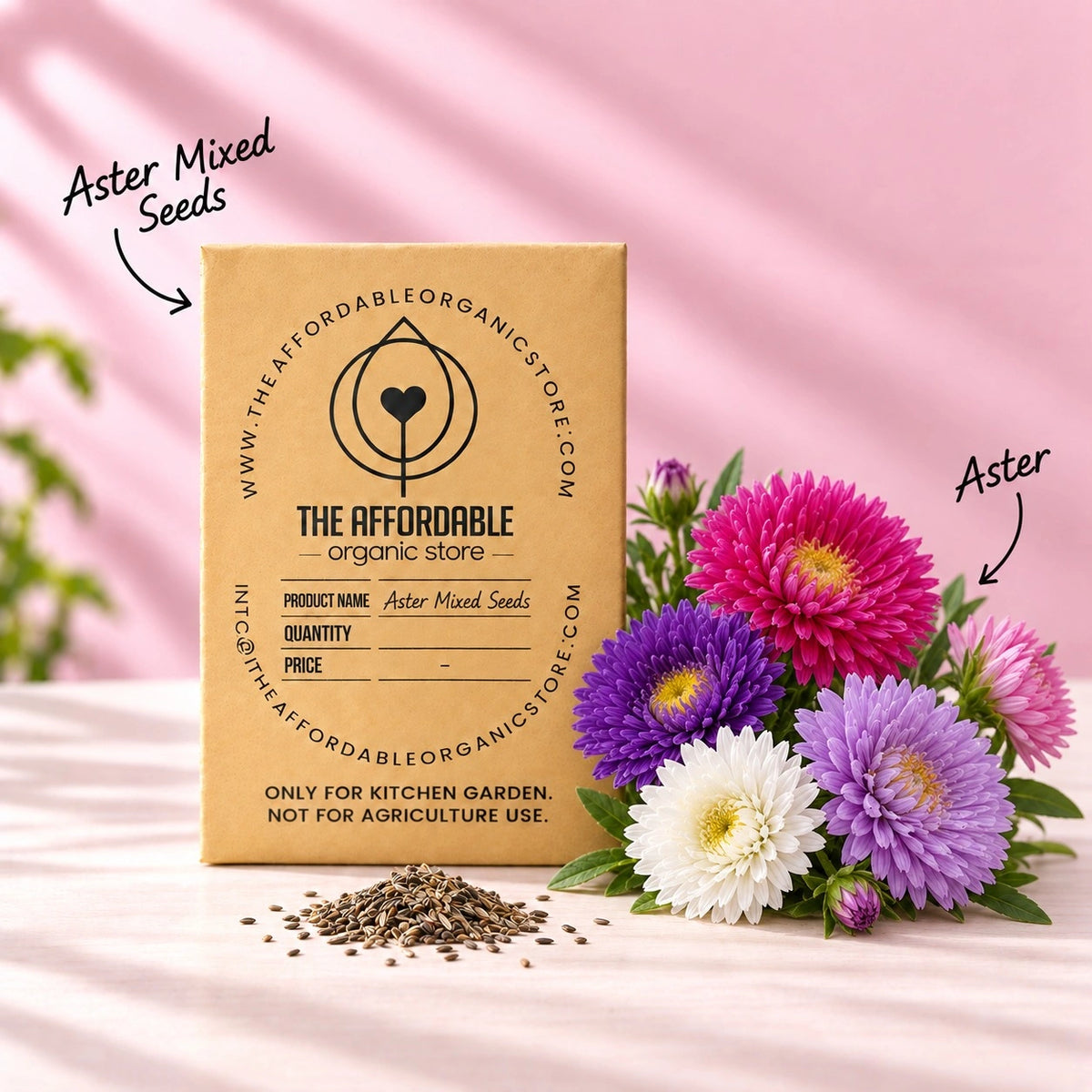 Aster Mixed Seeds (10 Seeds)