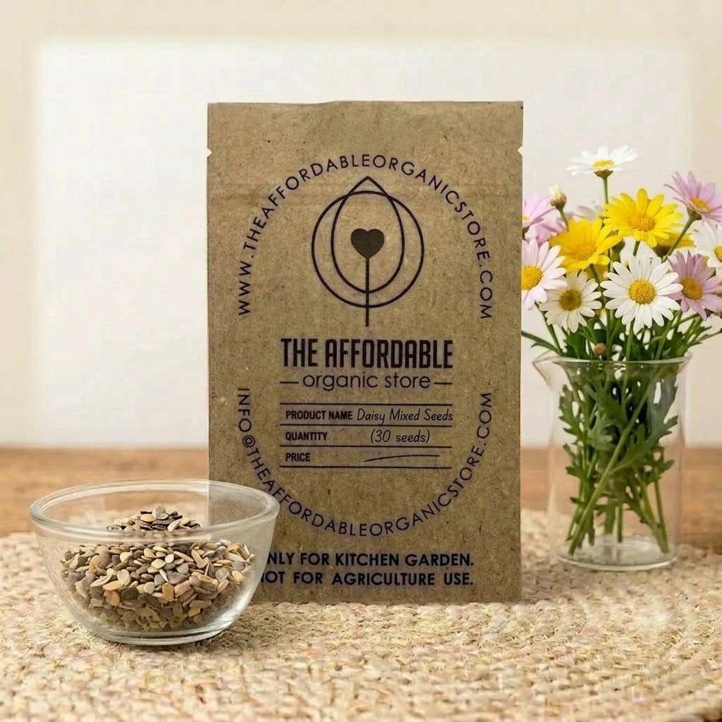 Daisy Mixed Seeds (30 seeds)