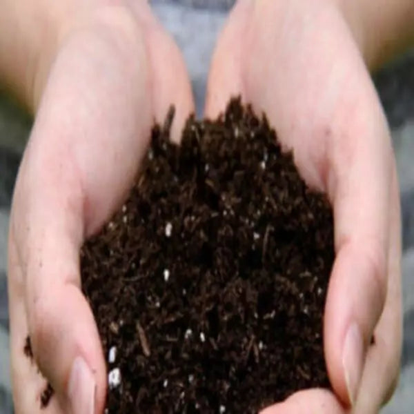 Finest potting mix kept in the palms of hand