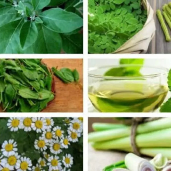 This is an image of Ayurvedic Immunity Booster Seeds Pack consisting of six types of ayurvedic herbs.