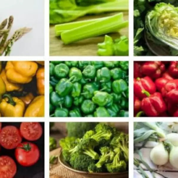 Gardener’s Salad Seeds Pack (1Pack)